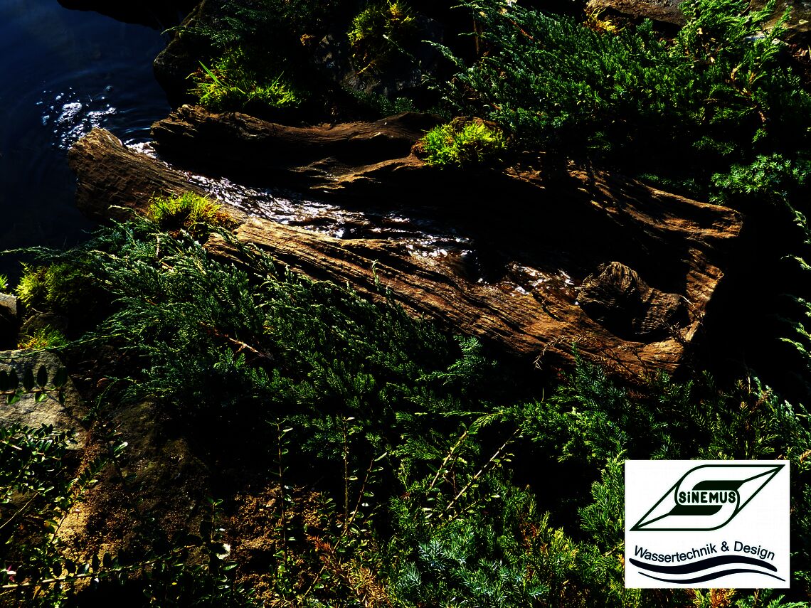 mehr Infos im Shop mehr Infos im Shop