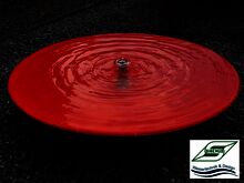 Schale rot mit Quell Schale rot mit Quell