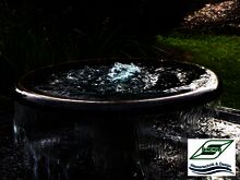 Doppelgewölbte Schale