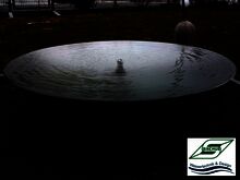 Wasserschale mit Queller