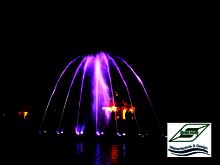 motorangetriebene schwenkbare Düsen